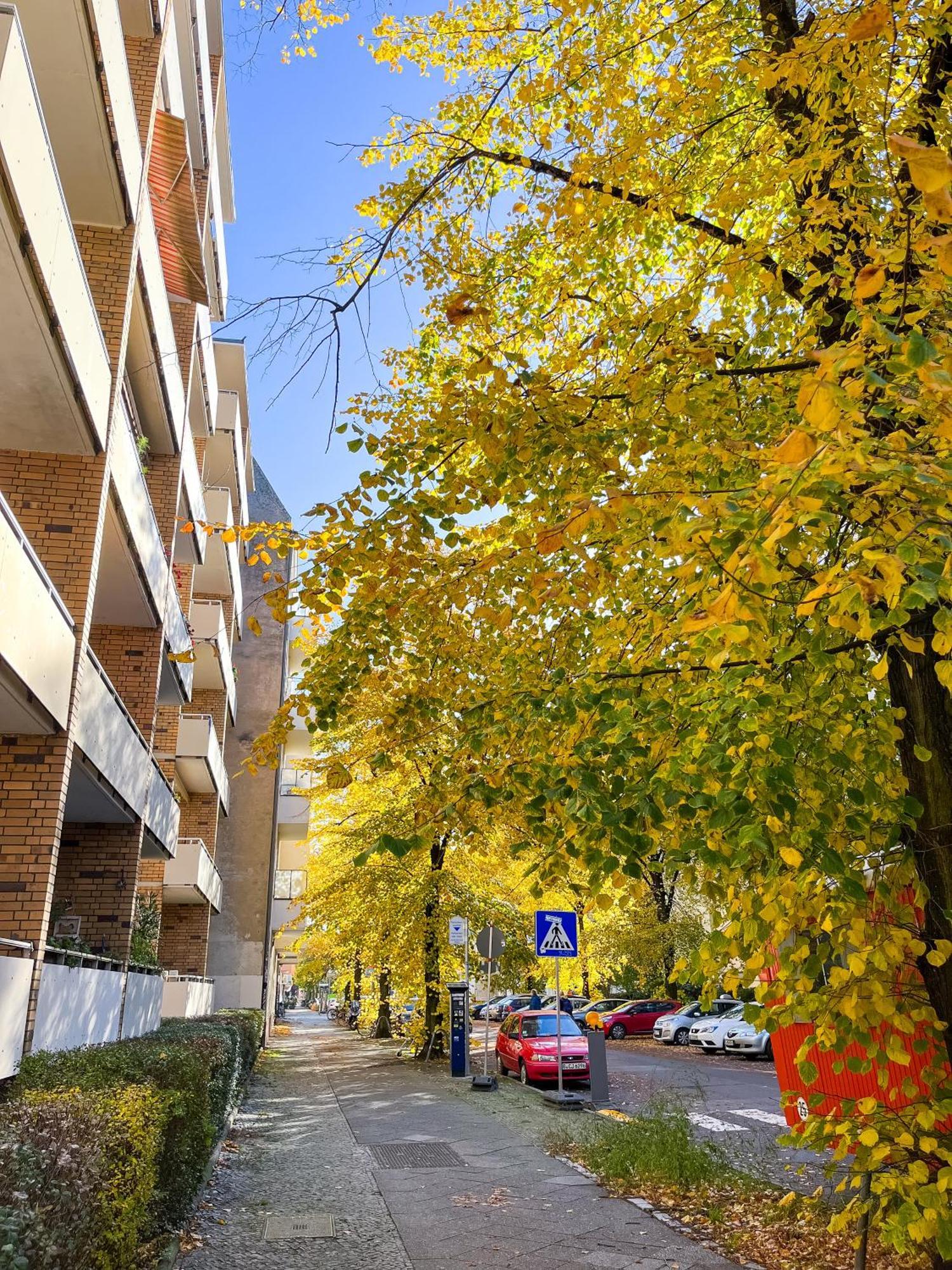 01 Bedroom In Mitte-Up To 5 People-Private Free Parking Berlino Esterno foto